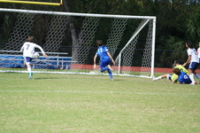 Enlarge photo 42