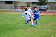 Enlarge photo 91