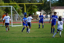 Enlarge photo 97