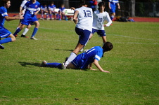 Enlarge photo 102