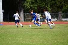 Enlarge photo 104