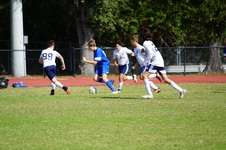 Enlarge photo 105