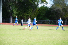Enlarge photo 137