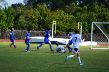 Enlarge photo 141