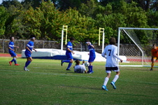 Enlarge photo 142