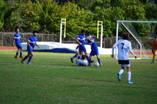 Enlarge photo 143