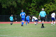Enlarge photo 155