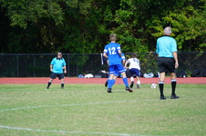 Enlarge photo 158