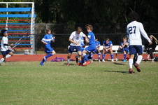 Enlarge photo 166