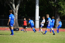 Enlarge photo 179