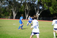 Enlarge photo 195