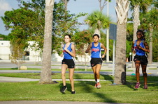 Enlarge photo 34