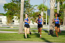 Enlarge photo 37