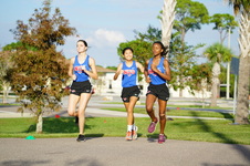 Enlarge photo 39