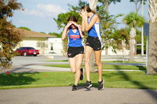 Enlarge photo 67