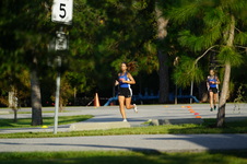 Enlarge photo 72