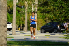 Enlarge photo 93