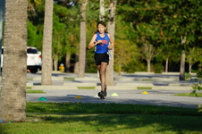 Enlarge photo 146
