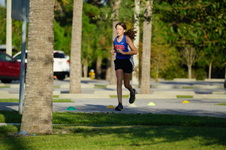 Enlarge photo 147