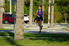 Enlarge photo 151