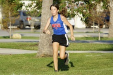 Enlarge photo 153