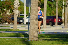 Enlarge photo 176