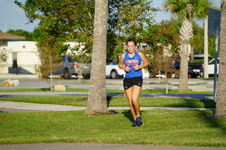 Enlarge photo 177