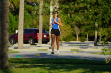 Enlarge photo 213