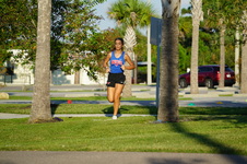 Enlarge photo 220