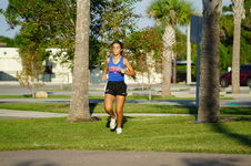 Enlarge photo 223
