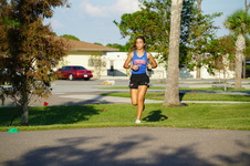 Enlarge photo 224