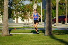 Enlarge photo 231