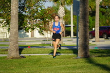 Enlarge photo 232
