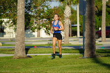 Enlarge photo 234