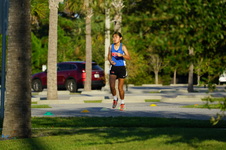 Enlarge photo 243