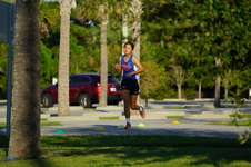 Enlarge photo 244