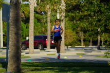 Enlarge photo 245