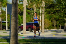 Enlarge photo 247