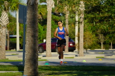 Enlarge photo 248