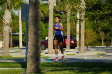 Enlarge photo 251