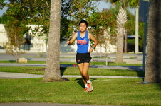 Enlarge photo 252