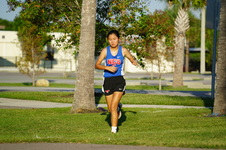 Enlarge photo 253