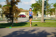 Enlarge photo 255