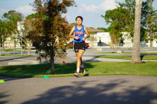 Enlarge photo 257