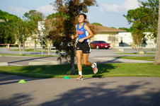 Enlarge photo 259