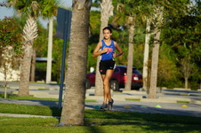 Enlarge photo 299