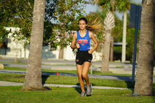 Enlarge photo 301