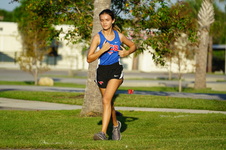 Enlarge photo 305