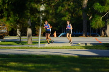 Enlarge photo 316