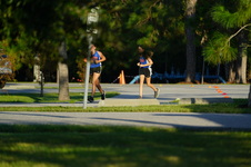 Enlarge photo 317